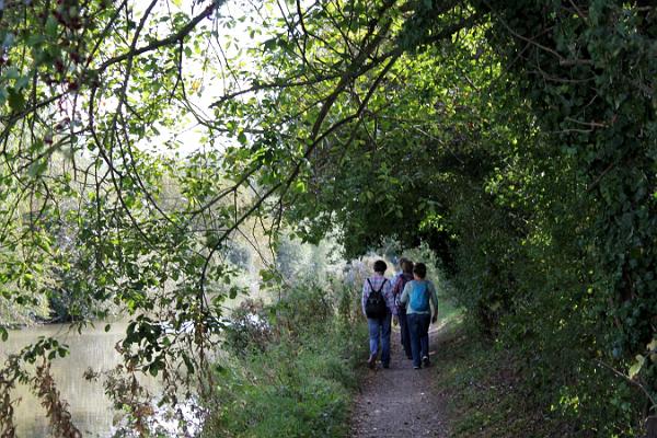 10 Tunnels of foliage.jpg
